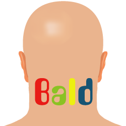 Logo Bald Couleur